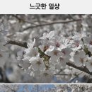 가디스네일