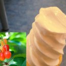 아이스크림에 빠지다 이미지