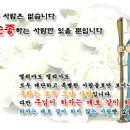 성구
