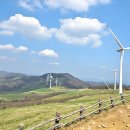 삼양목장 이미지