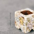 애플트리 이미지