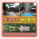 설이네상점 | 후쿠오카 근교 가족여행 추천 당일치기 버스투어 여행한그릇(feat.유후인, 디자이후, 가마도지옥 코스)
