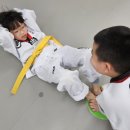 힘튼태권도 이미지