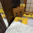 샤갈 노래연습장 이미지