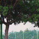 하단동1207 이미지