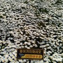 계양산산림욕장(장미원) 이미지