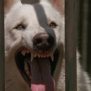 영화창고 이미지