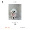 동그리아 이미지