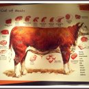 에비뉴(AVENUE) 이미지