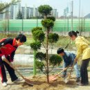 "학교 정원에 우리 가족 나무를 심어요 ! " 이미지