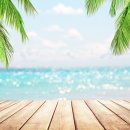 하이펙 주식회사 이미지