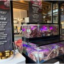 강릉한우 이미지