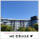 또래오래치킨 도마점 | [제주 한화리조트] 아이와 함께 하기 좋은 패밀리룸 & 리조트 조식 후기