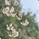 정성 | 하남생선구이 진짜 맛있는집 정성고등어 후기