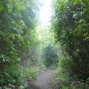 제암산등산로 이미지