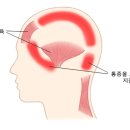 다온에스테틱 네이버블로그