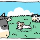 승수목장 이미지