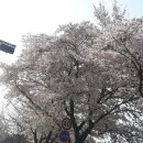 백자리경로당 이미지