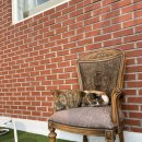 선경도서관 동아리실 | 개강 전 발악