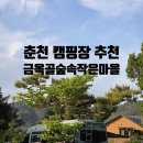 자연과우리펜션야영장 | 금옥골숲속작은마을 야영장 | 춘천 캠핑장 추천! 넓은 파쇄석 사이트 명당부터 애견동반, 수영장