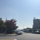 미항횟집 | [목포] 목포 보리굴비 맛집 목포 평화광장 횟집 '미항 횟집'