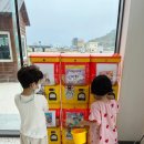 시포트리조트 이미지