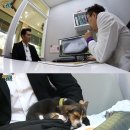애리패션 티브이데일리