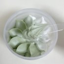 그린토마토 이미지