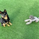 에이앤디 (A.N.D) 이미지