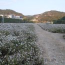 인삼랜드휴게소 이미지