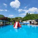 더 초리골 티스토리