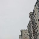 월곡동19 이미지