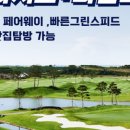 솔라시도CC 네이버블로그
