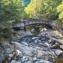 청정계곡 이미지