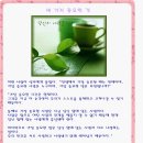 우리들의 꿈들 이미지