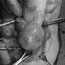 강내동물병원 이미지