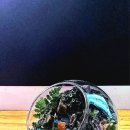 심심풀이 이미지