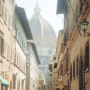 잔니스키키 이미지