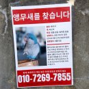 인헌동-10 이미지