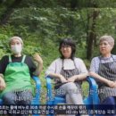 준식농장 이미지