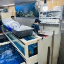 팔팔민박 이미지