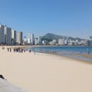 남천동 남천해변공원 이미지