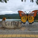 봉무공원 만보산책로 | 대구 봉무공원 만보산책로