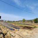 카페 슬루프(cafe sloop) 이미지