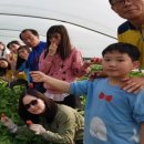 시산농장 이미지