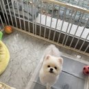 살롱드베베 이미지