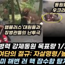 폴란드 군수 공장 폭발/러 국방장관의 좋은 출발/우 전기 발전량 55GW에서 9GW로 추락/글로벌리스트, 마린 르펜 포섭/사르코지, 르 이미지