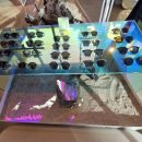 브리즘 서울시청점 이미지