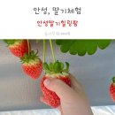 용내길 이미지
