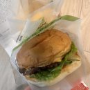 통제원 | 25.02(2) 일상